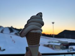 -东北亚滑雪场