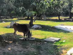 -西安秦岭野生动物园