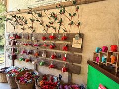 -大象粑粑造纸公园