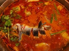 -新凯里酸汤鱼(飞山街店)