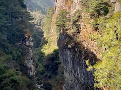 -苍山感通索道