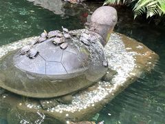 -鼎湖山风景区