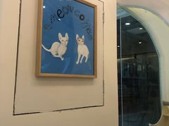 -猫域·湾主题猫咖·宠物吧(南坪城市广场店)