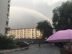 -好利来(乐堤港店)