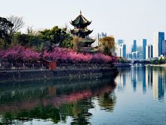 -望江楼公园