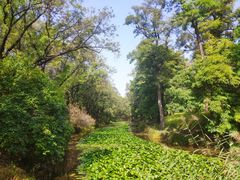 -承德避暑山庄景区