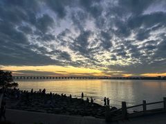 -宝安西湾红树林湿地公园