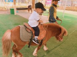 -萌宠亲子动物乐园(槐房万达店)