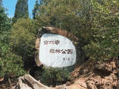 -白水寺森林公园
