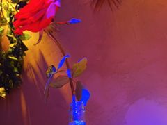 -在路上酒吧(大理古城店)