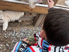 -HERRE·FARM 赫尔露营农场·团建聚会包场