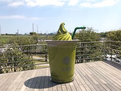 -雪绿茶博物馆
