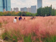 -艾溪湖湿地公园