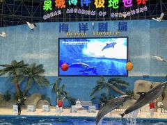-泉城欧乐堡海洋极地世界