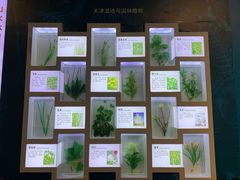 -天津自然博物馆