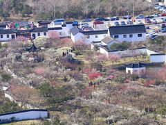林屋洞景区-林屋洞景区