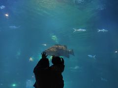 -福州罗源湾海洋世界旅游区