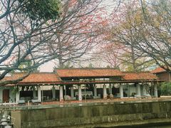 -喜洲吧·江畔老船厂·庭院餐厅(喜临院店)
