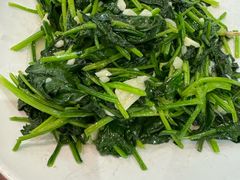 清炒菠菜-古道村落(温汤店)