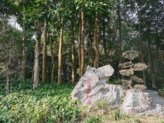 -东莞植物园