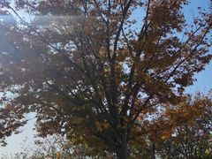 -盘龙城遗址博物院