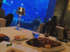 -迪拜帆船酒店海底餐厅