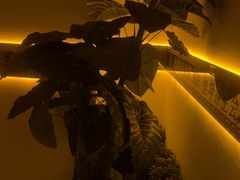 -恒坤北纬42度温泉洗浴(公园路店)