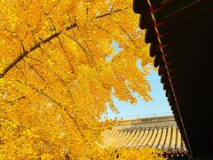 -承恩寺