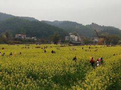 -红山村