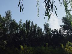 -河北省园博园