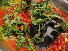 -湘潭九龙鱼头店(城南西路店)