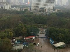 -人民公园-相亲角