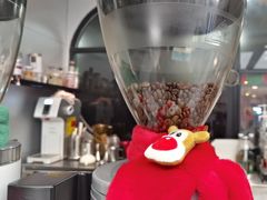 -YOLO COFFEE(深房广场店)