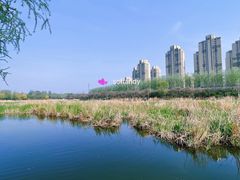 -前关湿地公园