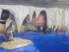 -太平洋海底世界