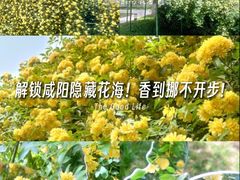 -渭滨公园