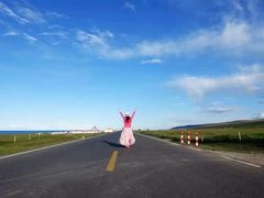 -青海湖国家重点风景名胜区