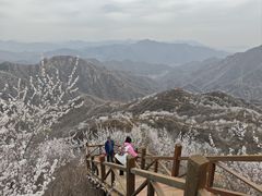 -大岭沟猕猴桃谷风景区