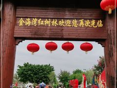 -北海金海湾红树林生态旅游区