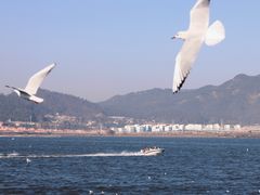 -海埂大坝