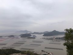 -花竹村