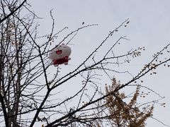 -黄兴公园