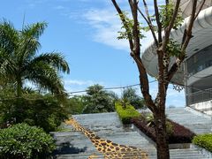 -灵玲国际马戏城