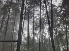 -重庆雨台山风景区