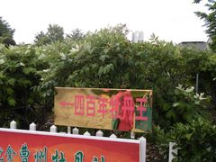 -曹州百花园