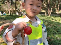 -杭州龙井幼儿园