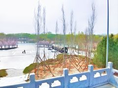 -永定河休闲森林公园