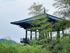 -大唐贡茶院