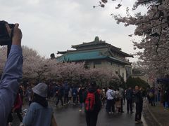 -武汉大学-樱园