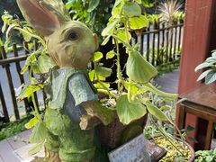 -深圳仙湖植物园